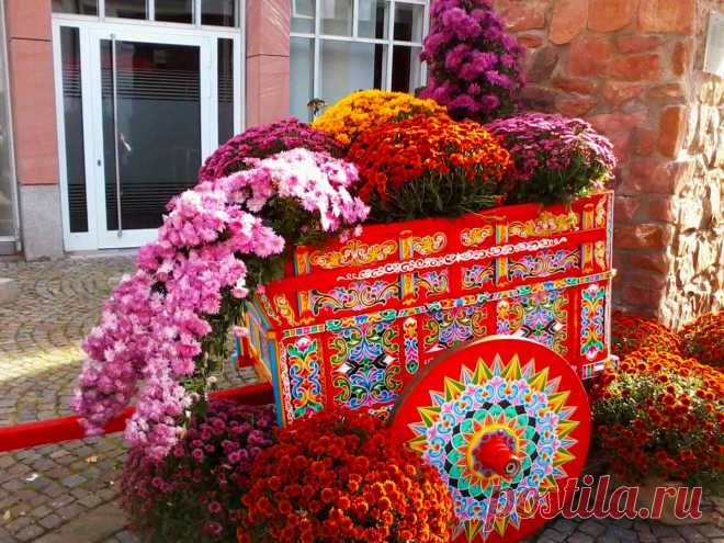 Каскад из хризантем: рекомендации по выращиванию, устройство своими руками, фото