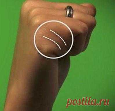 Хотите детей, но не знаете, сколько вам суждено? Ваши руки знают ответ! | Секреты.нет