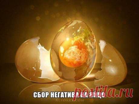 Снятие негатива на яйцо