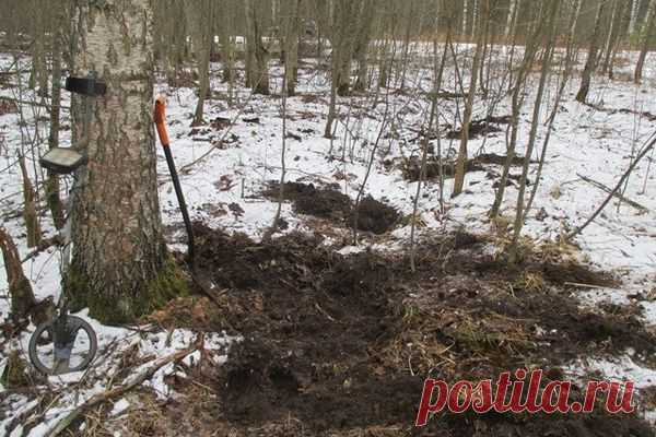 Поисковое Движение России В ходе поисковой разведки отряд «Новгородец» обнаружил останки двух павших советских солдат