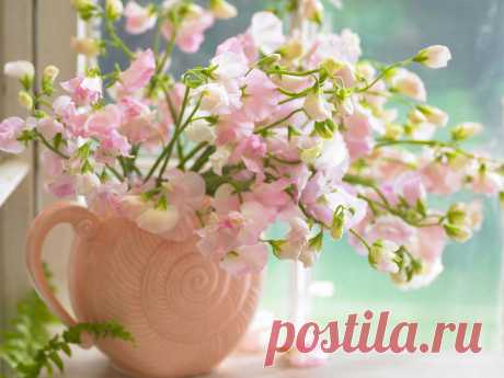 У вас «заболел» семейный бюджет,
«лихорадит» от валютных скачков,
«открылась язва кошелька»
и «воспалилась» задолженность по кредиту?
Интернет-проект «Экспресс-Карьера» – Экстренная Финансовая «скорая помощь» вам поможет Узнать