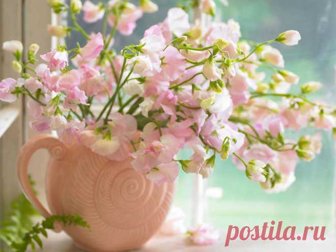 У вас «заболел» семейный бюджет,
«лихорадит» от валютных скачков,
«открылась язва кошелька»
и «воспалилась» задолженность по кредиту?

Интернет-проект «Экспресс-Карьера» – Экстренная Финансовая «скорая помощь» вам поможет Узнать