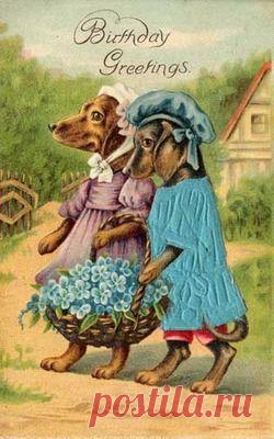 Dachshund Dogs Birthday Date Flowers Print