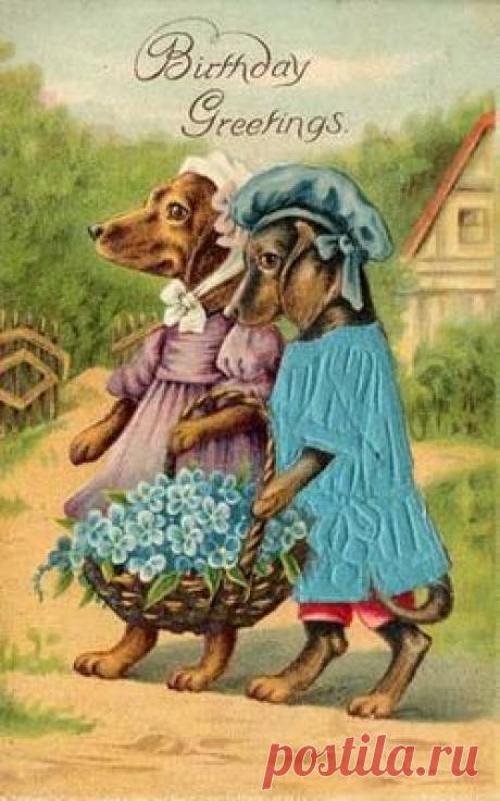 Dachshund Dogs Birthday Date Flowers Print