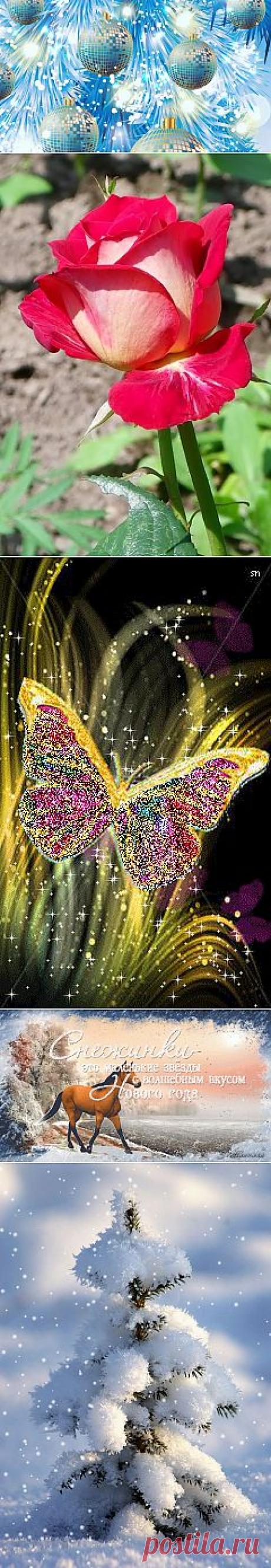 Вера Карелина – Google+