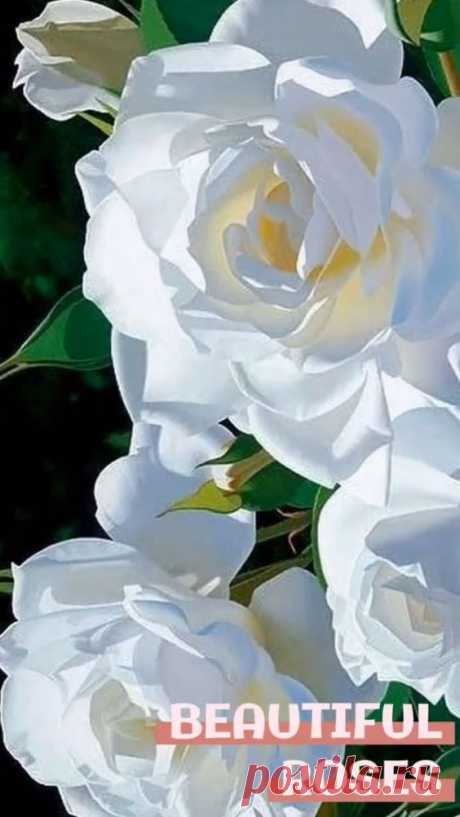 (1) Pinterest