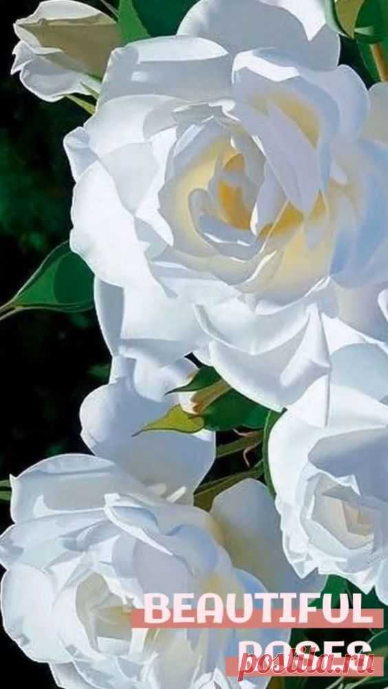 (1) Pinterest