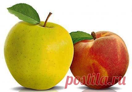 Пять яблок в день — и гипертония дрогнет