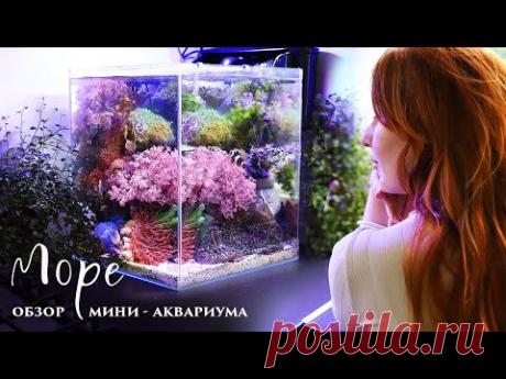 Нанориф 30л Velvetes - YouTube