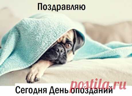 Картинки с Днем опозданий прикольные