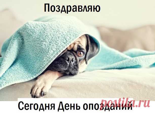 Картинки с Днем опозданий прикольные