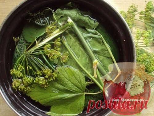 Аромат лета - это малосольные огурцы. У меня есть рецепты быстрого приготовления. Я делаю эти соления в кастрюле - так намного удобнее, чем в банке.