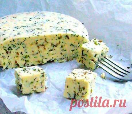 Домашний сыр с зеленью и тмином