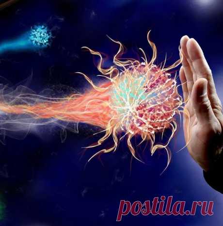Продукты для иммунитета: ТОП-12