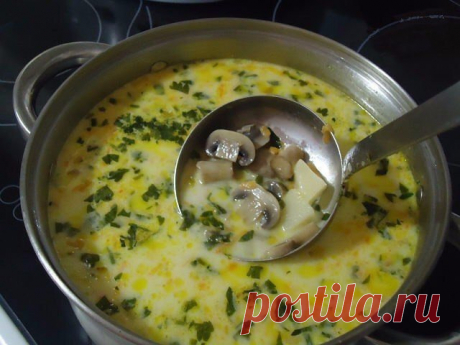 САМЫЕ ЛУЧШИЕ ПЕРВЫЕ БЛЮДА 

источник Рецепты курицы, рыбы, супов, мяса, сладкого
 

 







САМЫЕ ЛУЧШИЕ ПЕРВЫЕ БЛЮДАОбожаю эти простые рецептики 1. Суп из шампиньонов Ингредиенты: - 15–20 шампиньонов; - 1 морковь; - 2 лукови…