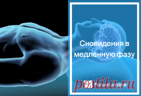 Только ли отдыхает мозг во сне – что происходит