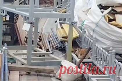 Лису поймали у храма Христа Спасителя