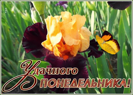 Открытка с понедельником удачного дня