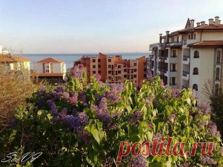 Святой Влас весной - Фото Болгарии