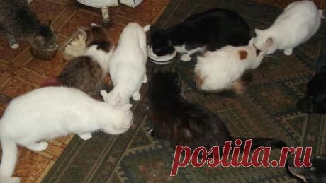 Одноклассники