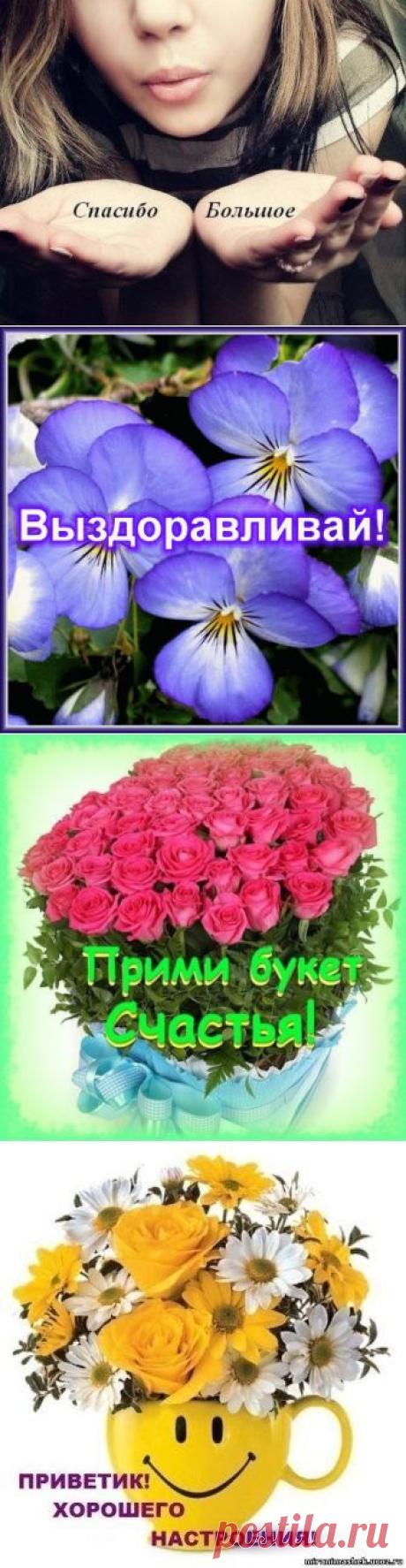 Хочется сказать слова благодарности! / Болталка / Поздравления