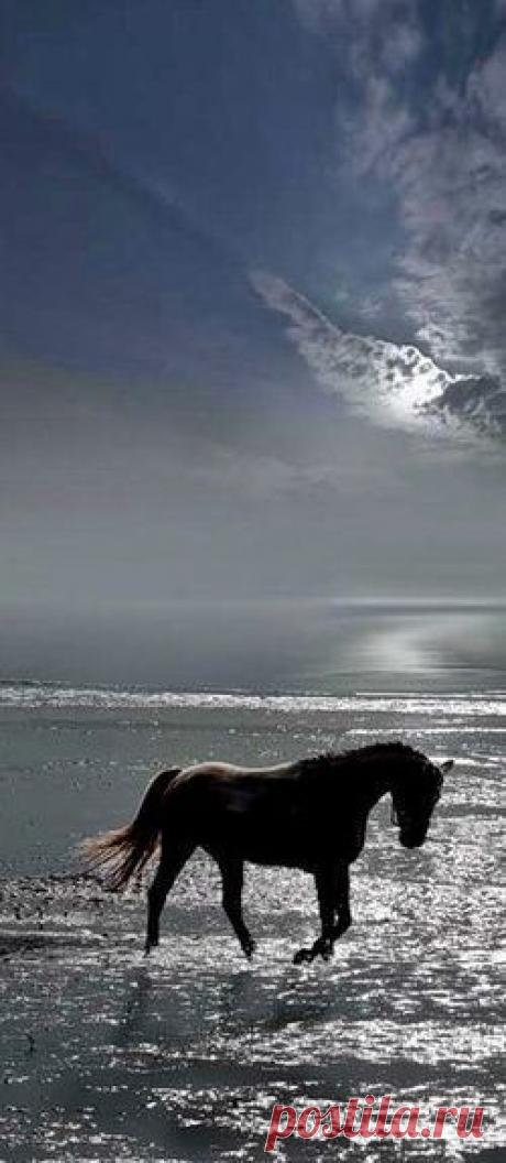 Найдено на сайте 500px.com.