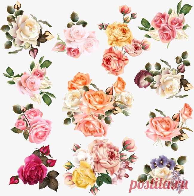 hand-painted flowers More than 3 million PNG and graphics resource at Pngtree. Find the best inspiration you need for your project.