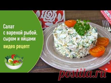 Салат с вареной рыбой, сыром и яйцами — видео рецепт - YouTube