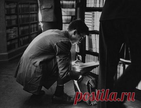 Что книги делают с нашим мозгом? | Всегда в форме!