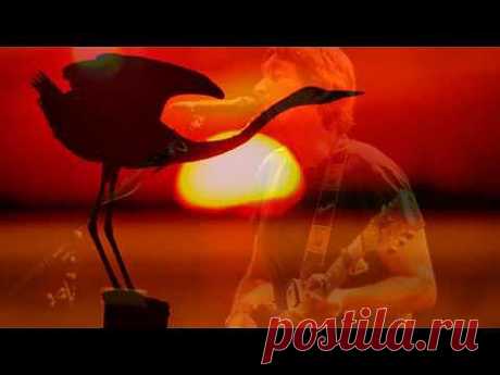 ▶ CHRIS REA - IF I EVER GET OVER YOU (BLUE GUITARS) - YouTube