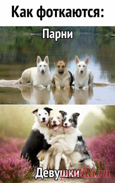 Ох уж эти женские штучки! Подборка юмора)) | Дома я хозяюшка | Яндекс Дзен