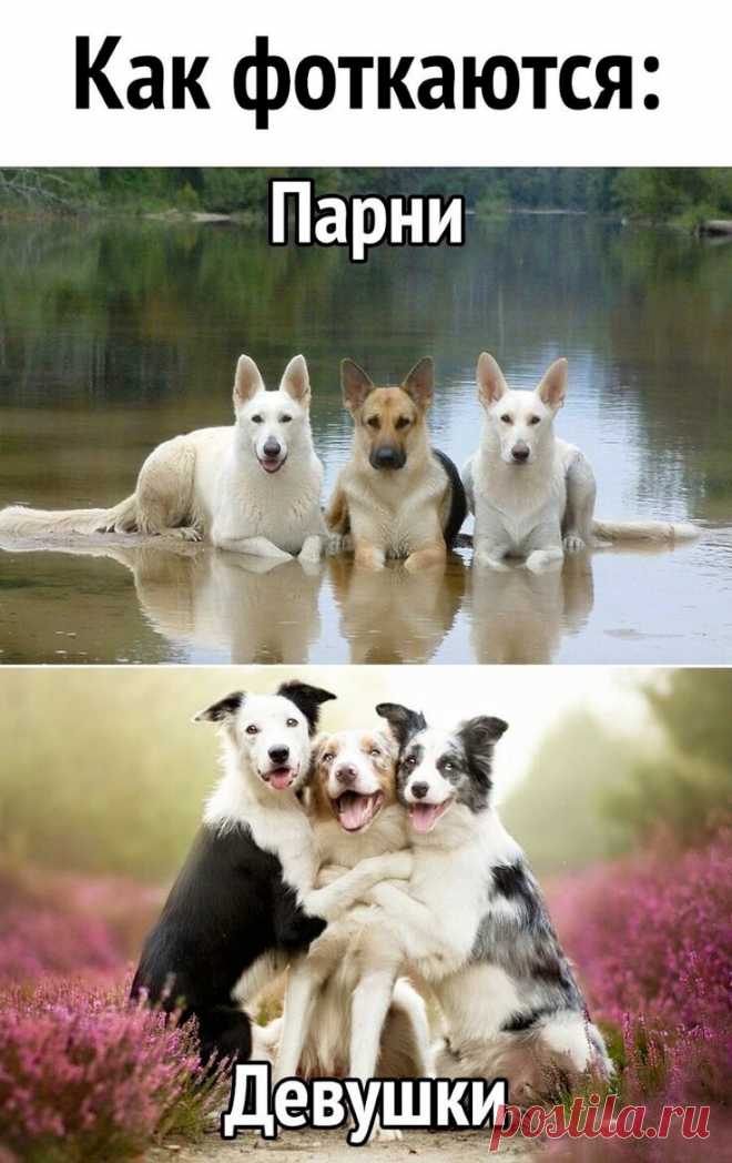 Ох уж эти женские штучки! Подборка юмора)) | Дома я хозяюшка | Яндекс Дзен