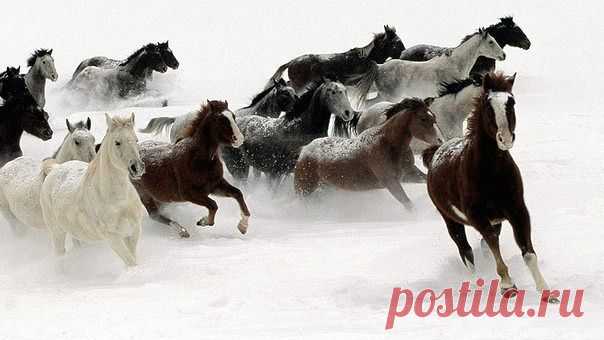 Шедевры фотографии. Присоединись!