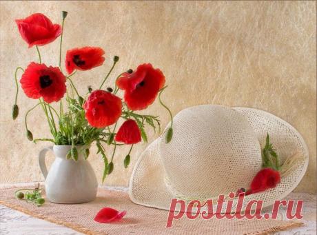 Не знаю краше ангельских цветов....