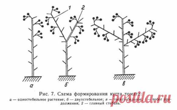 Одноклассники