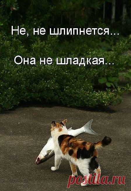 сладость
