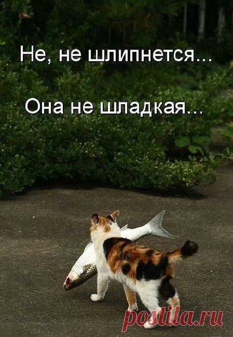 сладость