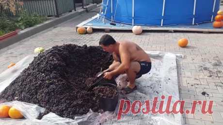 ВИНО из ВИНОГРАДА. Часть 1.