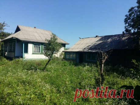 Продам будинок пгт Старая Ушица: 165 000 грн. - Продажа домов Старая Ушица на Olx