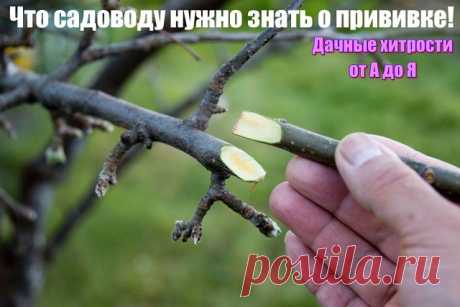 (89) Одноклассники