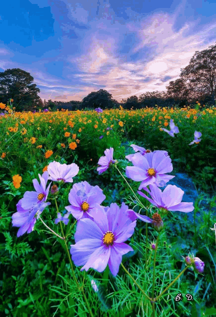 Divno Popodne GIF – Divno Popodne – Ищите GIF-файлы и обменивайтесь ими Click to view the GIF