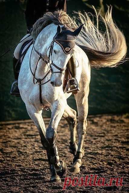 Pinterest