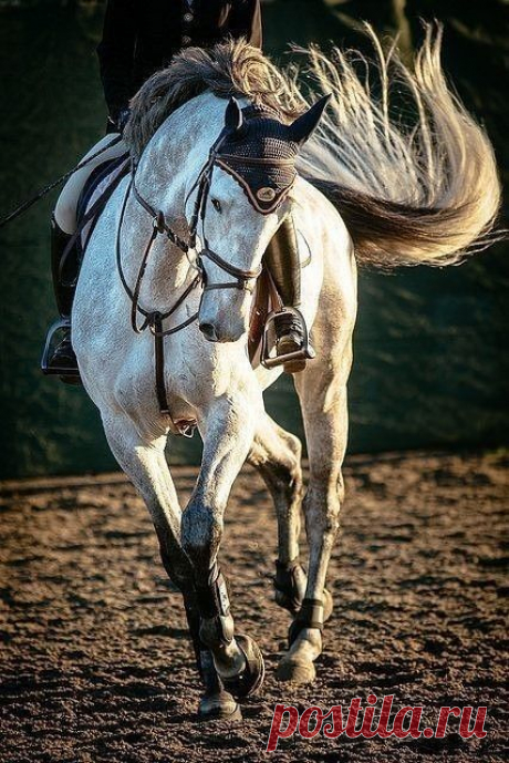 Pinterest