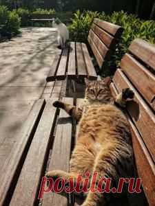 (3) Pinterest