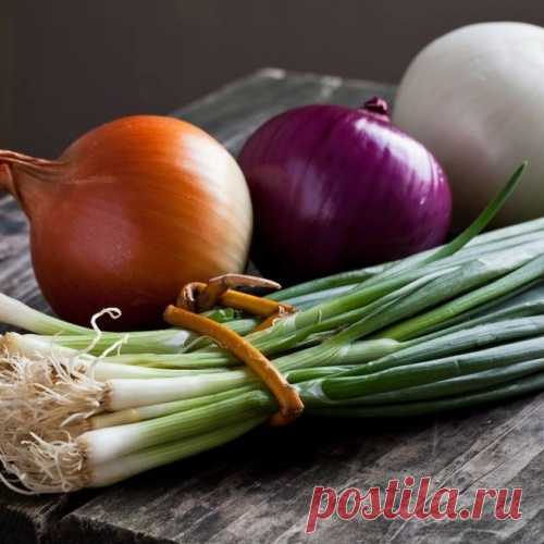 ЛУКОВЫЕ ТОНКОСТИ И ВКУСНЫЕ ЛУКОВЫЕ КОЛЬЦА