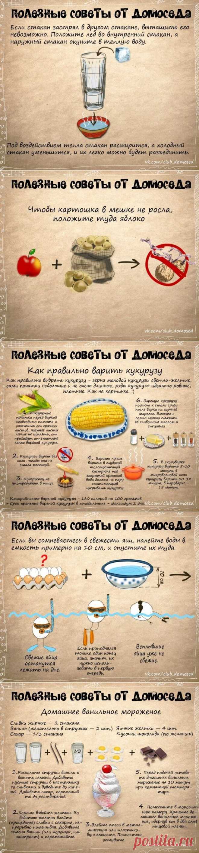 Советы от домоседа / Домоседы