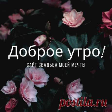 Утро пусть всегда будет добрым!