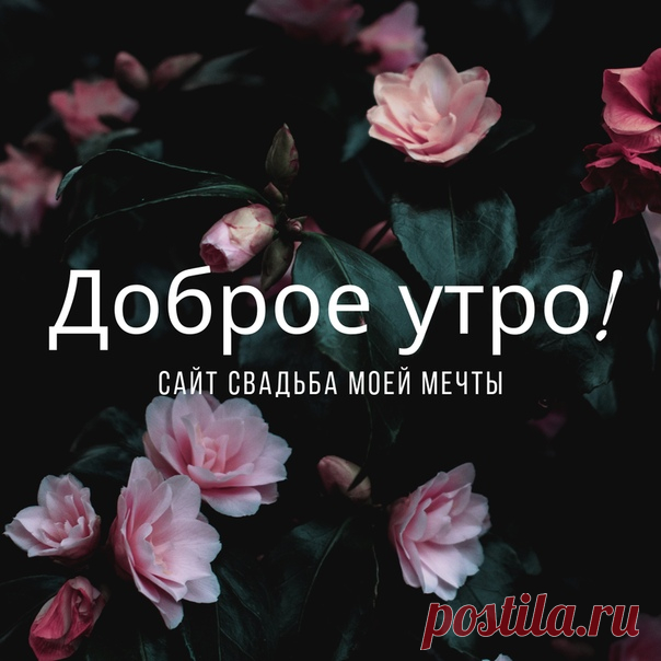 Утро пусть всегда будет добрым!