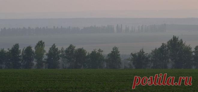 Марево | National Geographic Россия