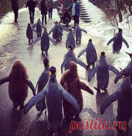 Диалоги